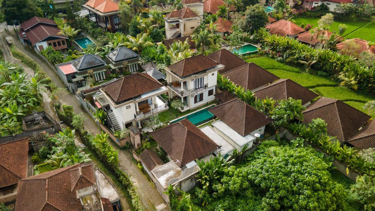 Queen Bisma - 10 Min Walking To Center Holiday park